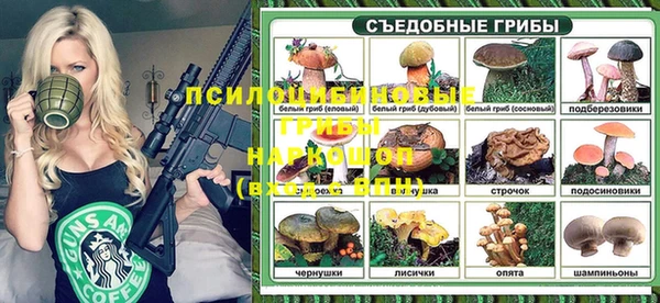 сатива Абаза