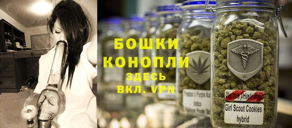 сатива Абаза