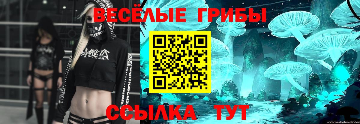 Скопин  Псилоцибиновые грибы Psilocybe  Псилоцибиновые грибы Magic Shrooms  Вход с VPN 