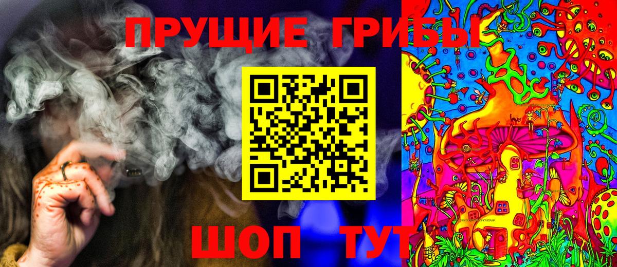 Псилоцибиновые грибы Cubensis Скопин